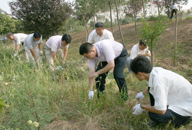 集團公司黨員義務勞動迎七一